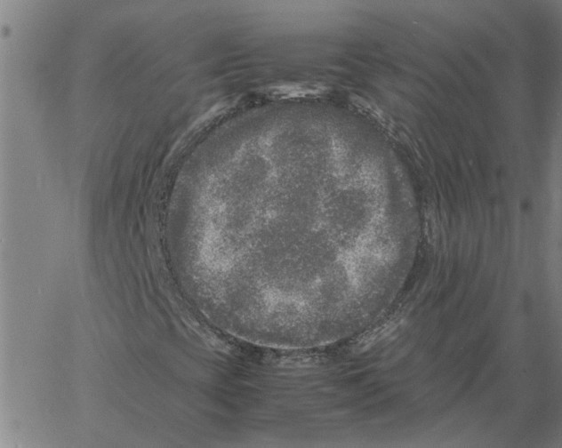 X0000061141393200512161518