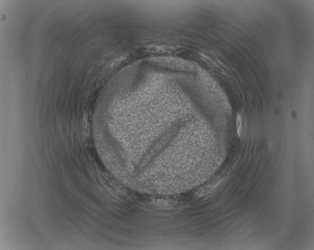 X0000061141395200512161518