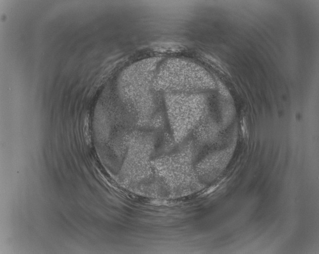 X0000061141396200512161518