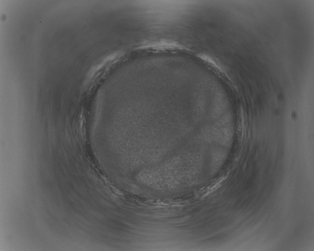 X0000061141398200512161518