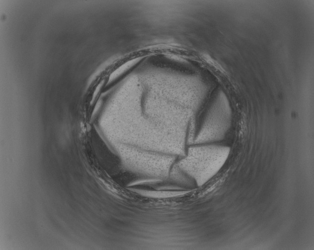 X0000061141400200512161518