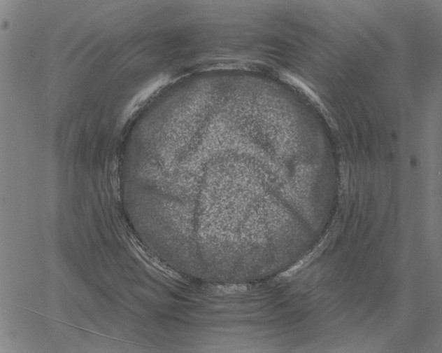 X0000061141403200512161518