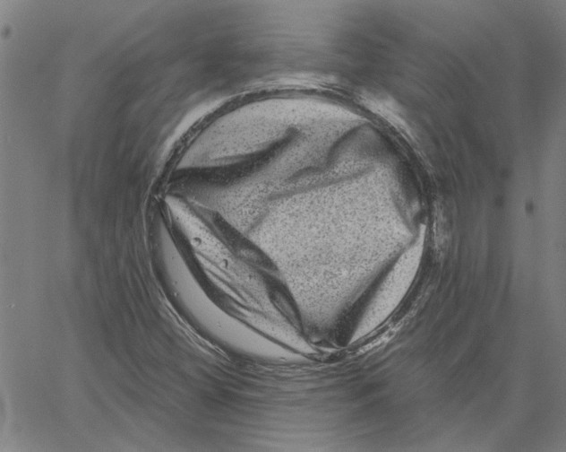 X0000061141404200512161518