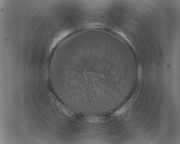 X0000061141405200512161518