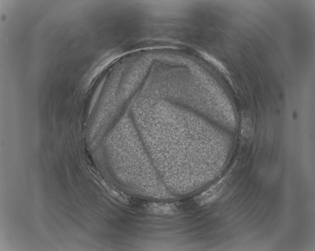 X0000061141407200512161518