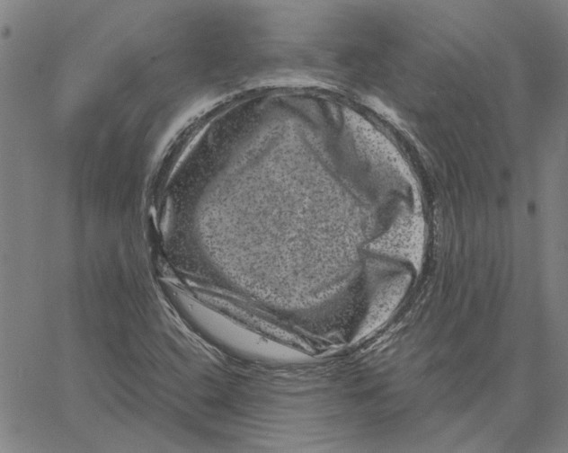 X0000061141408200512161518