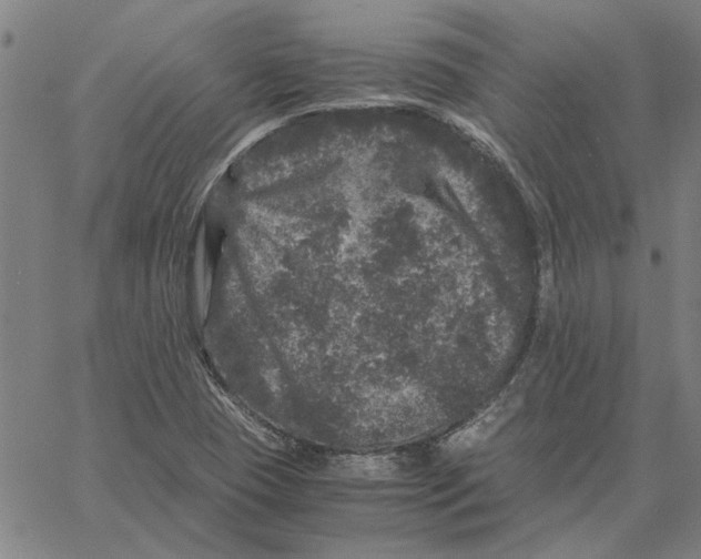 X0000061141409200512161518