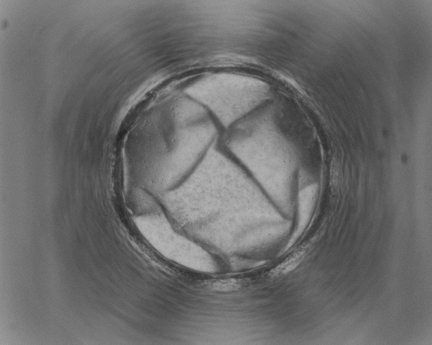 X0000061141410200512161518