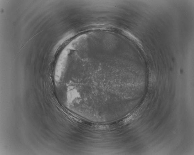 X0000061141411200512161518