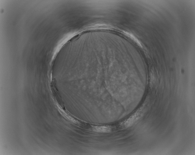 X0000061141413200512161518