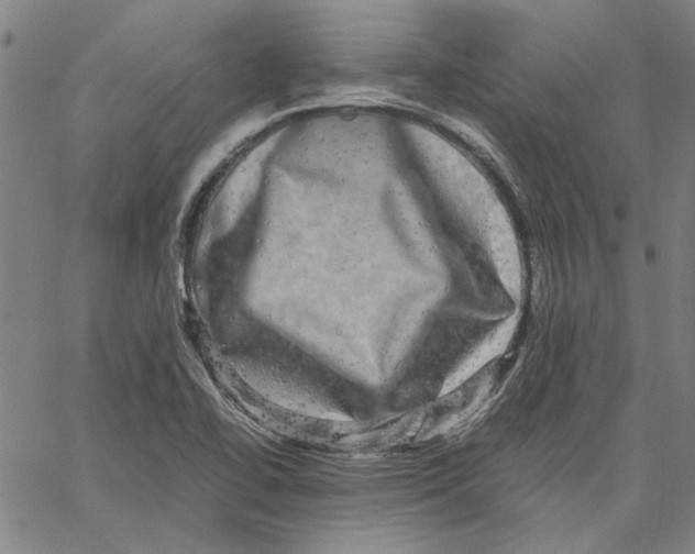 X0000061141414200512161518