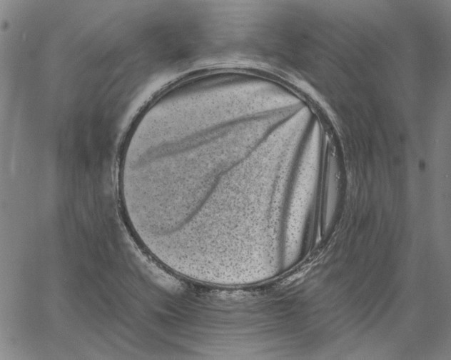 X0000061141416200512161518