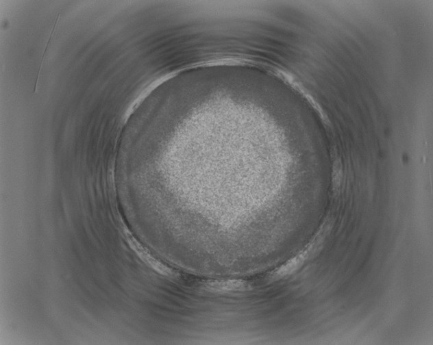 X0000061141417200512161518