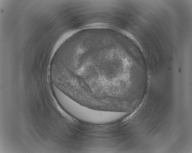 X0000061141421200512161519