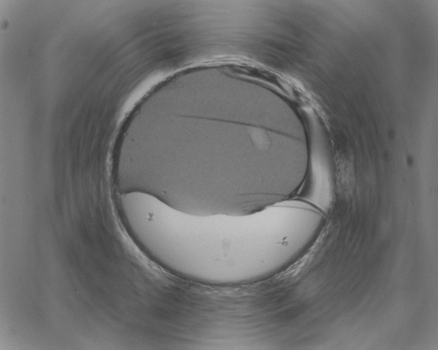 X0000061141422200512161519