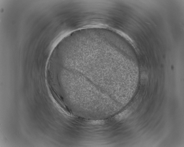 X0000061141423200512161519