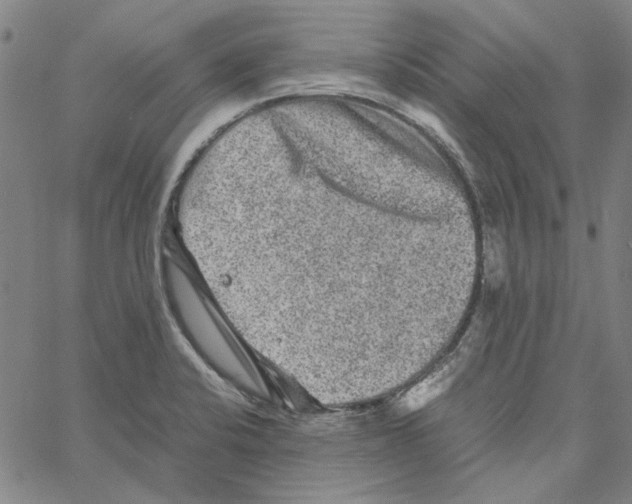 X0000061141424200512161519