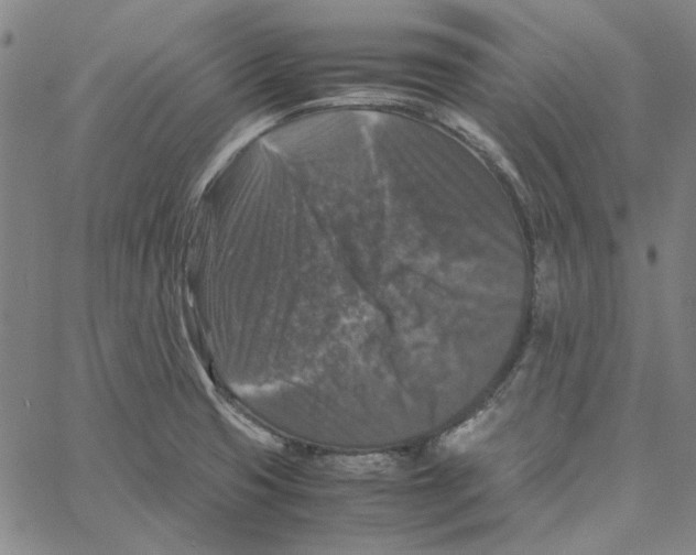 X0000061141425200512161519