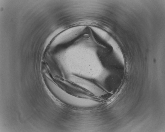 X0000061141426200512161519