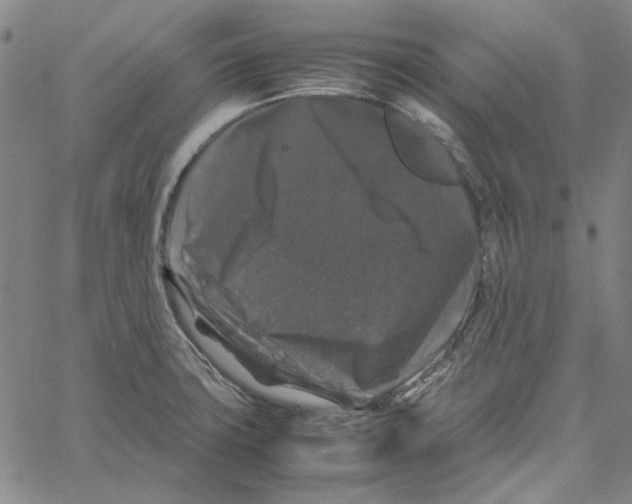 X0000061141427200512161519