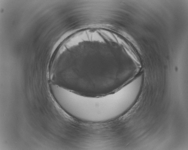 X0000061141428200512161519