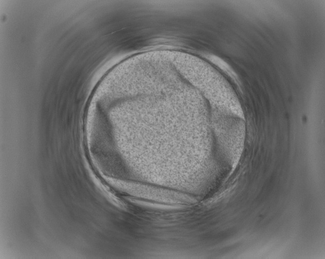 X0000061141431200512161519