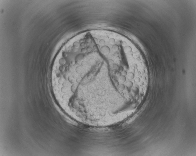 X0000061141432200512161519