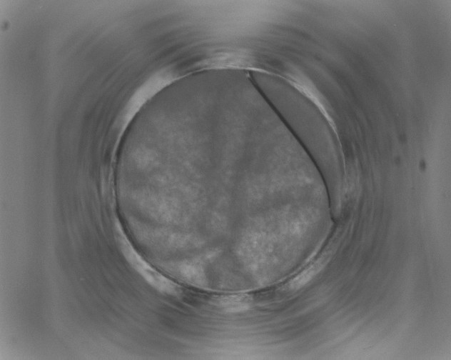 X0000061141434200512161519