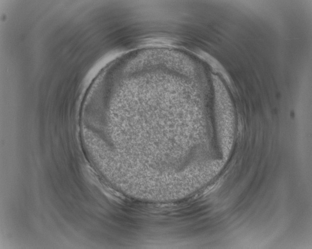 X0000061141435200512161519