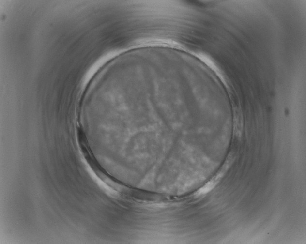 X0000061141438200512161519