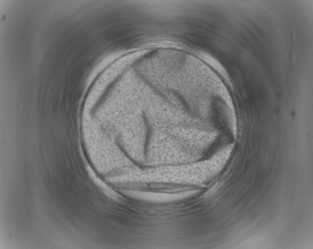 X0000061141439200512161519