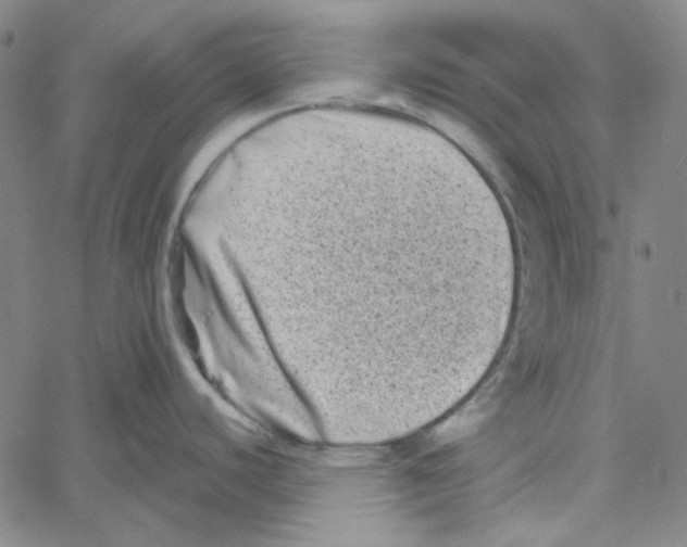 X0000061141440200512161519