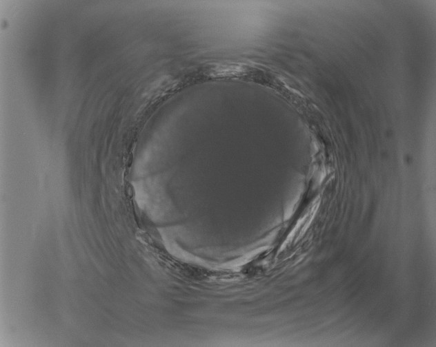 X0000061141441200512161518