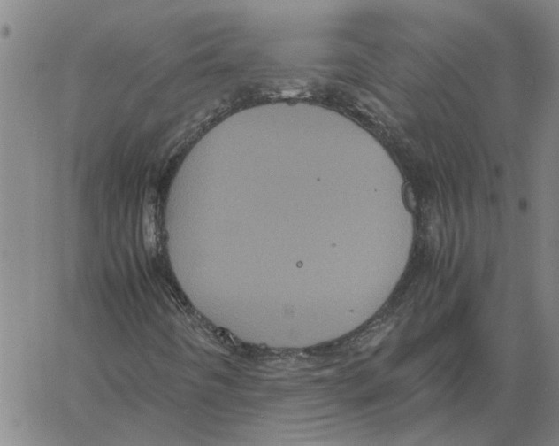 X0000061141442200512161518