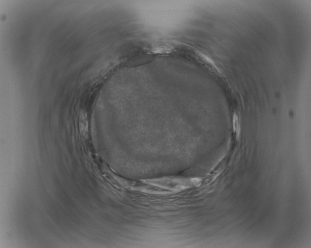 X0000061141443200512161518