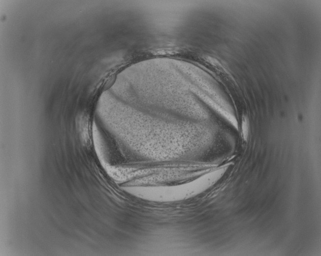 X0000061141444200512161518