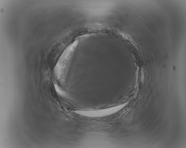 X0000061141445200512161518