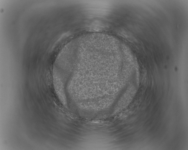 X0000061141446200512161518