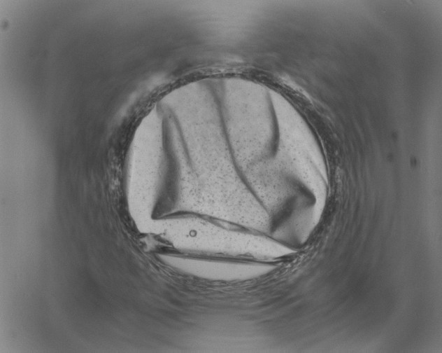 X0000061141447200512161518