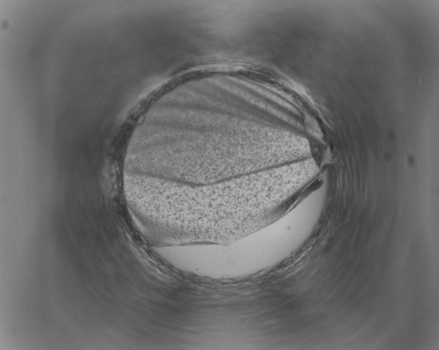 X0000061141448200512161518