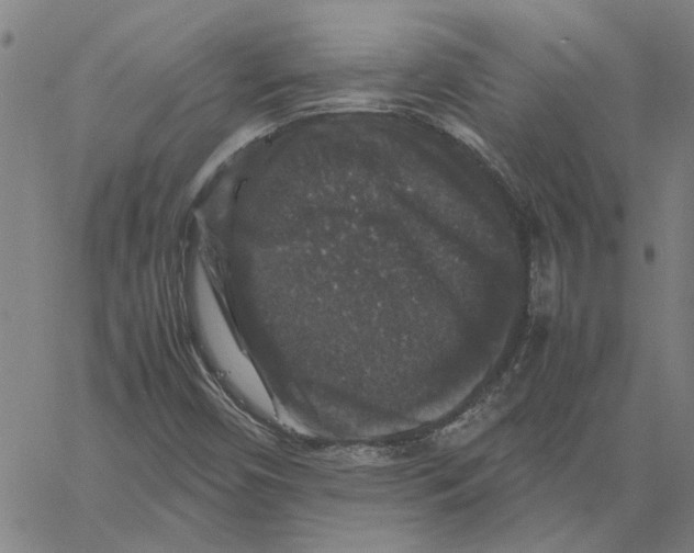 X0000061141450200512161518