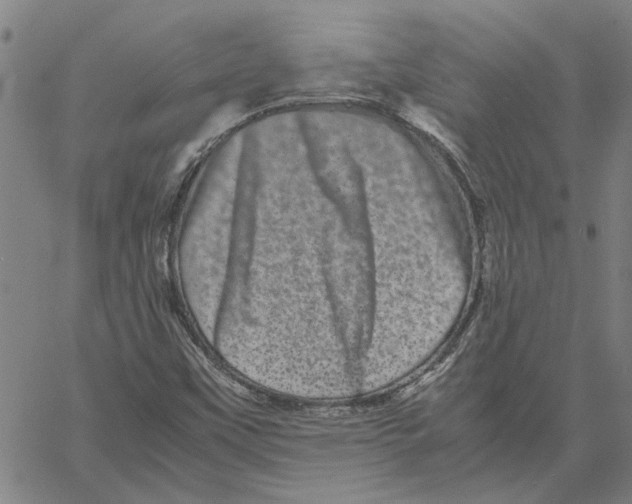 X0000061141451200512161518