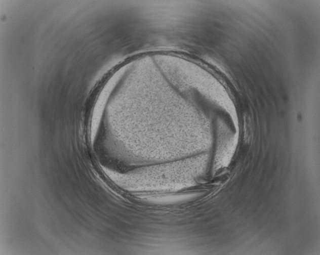 X0000061141452200512161518