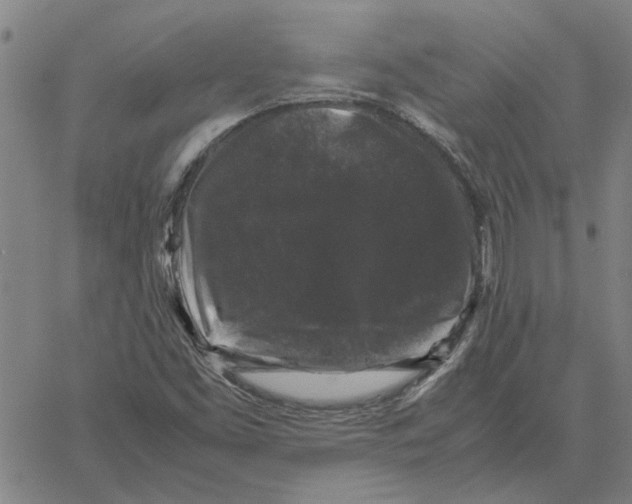 X0000061141453200512161518