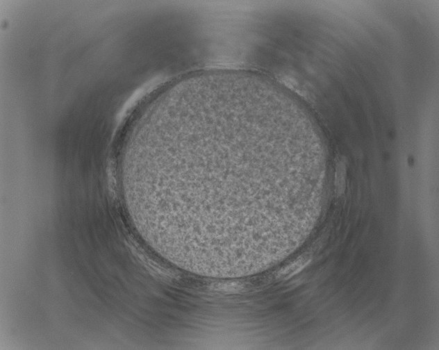 X0000061141454200512161518