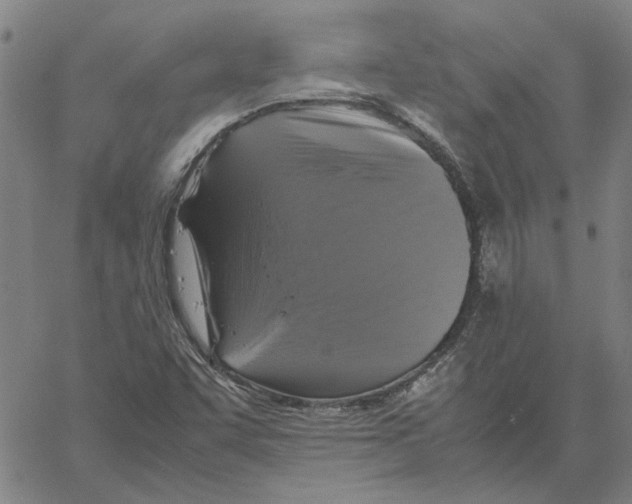 X0000061141455200512161518