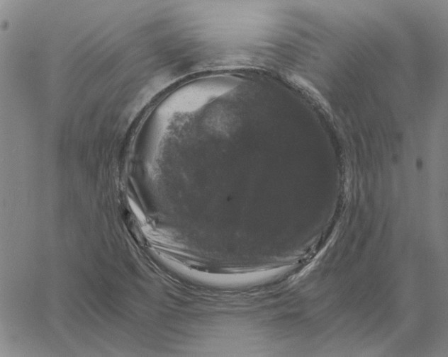 X0000061141457200512161518