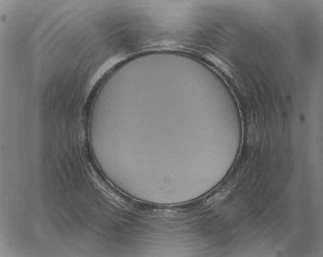 X0000061141458200512161518