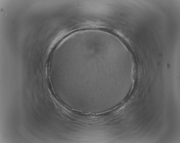 X0000061141459200512161518