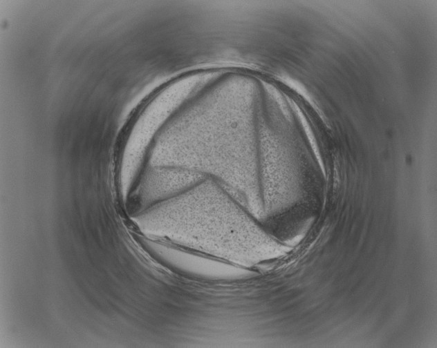 X0000061141460200512161518